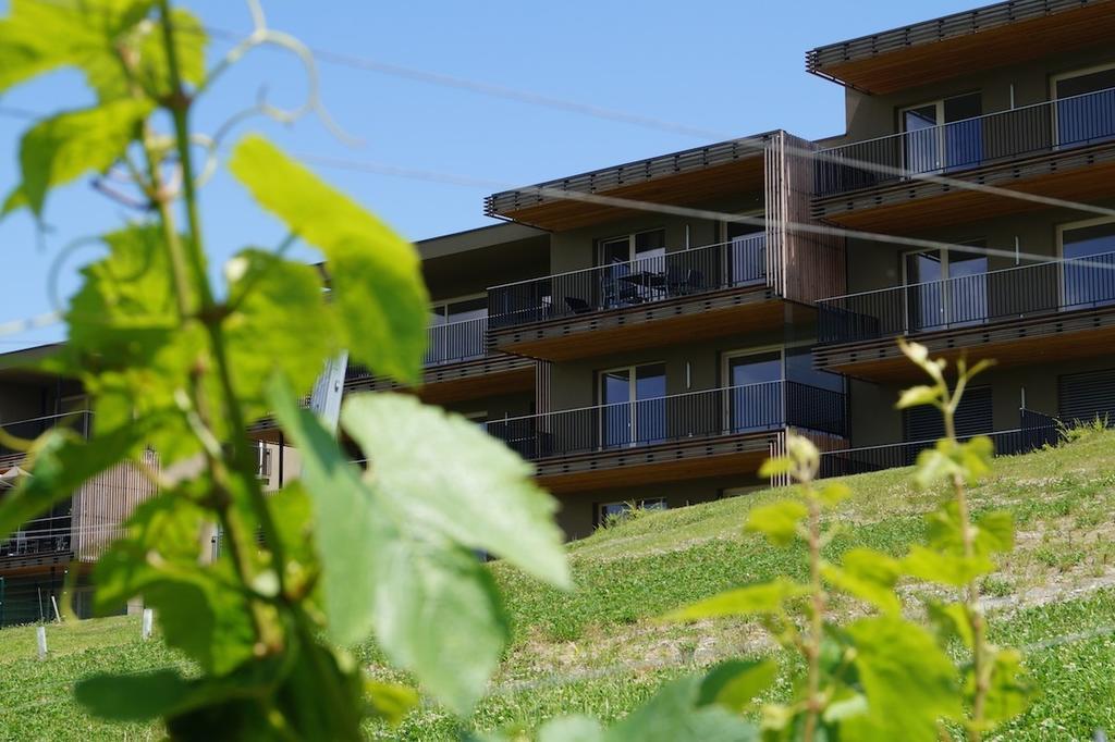 Relax Residence Suedsteiermark 埃伦豪森 客房 照片